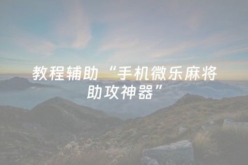 教程辅助“手机微乐麻将助攻神器”（详细透视教程）-哔哩哔哩