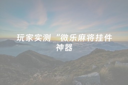 玩家实测“微乐麻将挂件神器（助赢神器通用版）