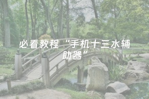 必看教程“手机十三水辅助器”（详细透视教程）-哔哩哔哩