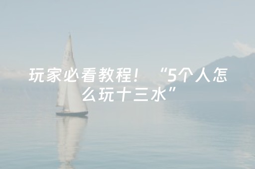 玩家必看教程！“5个人怎么玩十三水”（详细开挂教程）-哔哩哔哩