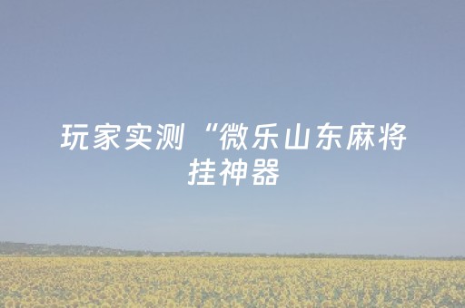 玩家实测“微乐山东麻将挂神器（专用辅牌神器免安装）
