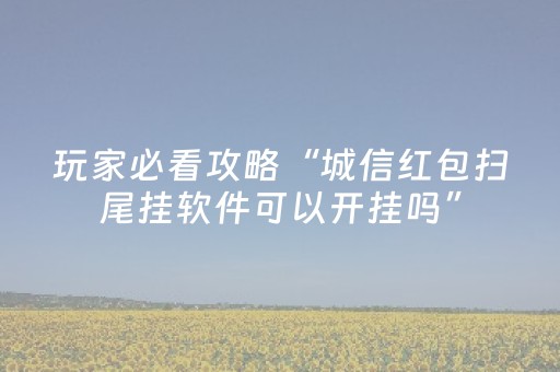 玩家必看攻略“城信红包扫尾挂软件可以开挂吗”（详细透视教程）-哔哩哔哩