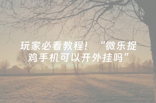 玩家必看教程！“微乐捉鸡手机可以开外挂吗”（详细透视教程）-哔哩哔哩