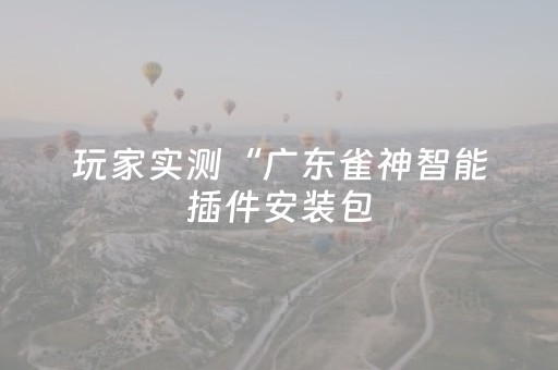 玩家实测“广东雀神智能插件安装包（助赢神器通用版）