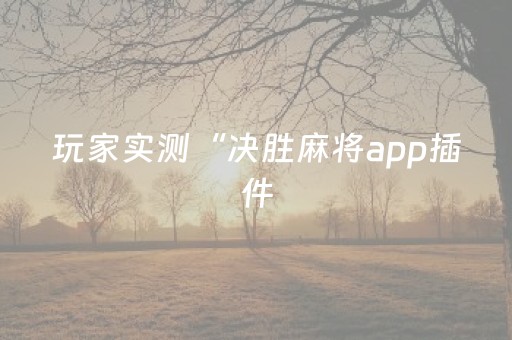 玩家实测“决胜麻将app插件（助赢神器通用版）