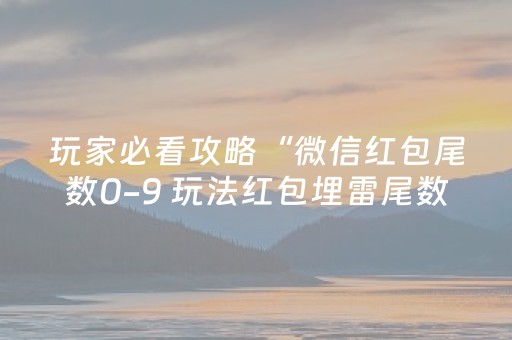 玩家必备教程“微信小程序麻将插件免费（专用辅牌神器免安装）