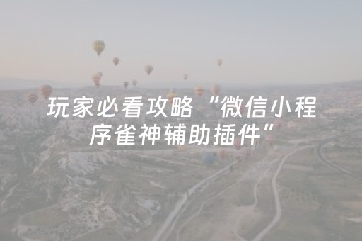 玩家必看攻略“微信小程序雀神辅助插件”（详细透视教程）-哔哩哔哩