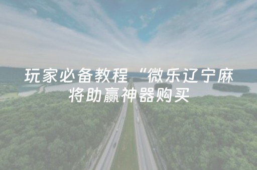 玩家必备教程“微乐辽宁麻将助赢神器购买（专用辅牌神器免安装）
