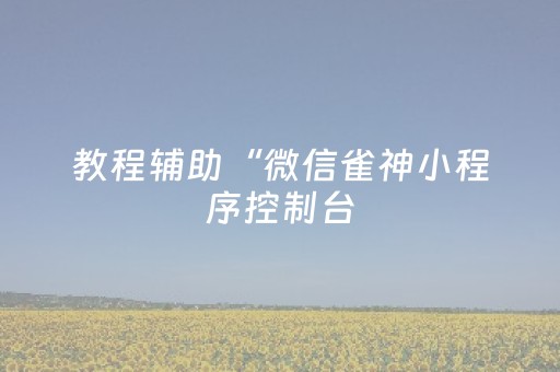 教程辅助“微信雀神小程序控制台（专用辅牌神器免安装）