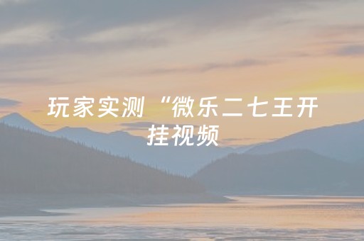 玩家实测“微乐二七王开挂视频（专用辅牌神器免安装）