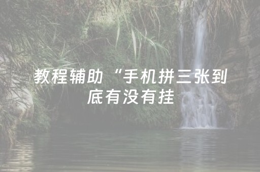 教程辅助“手机拼三张到底有没有挂（专用辅牌神器免安装）