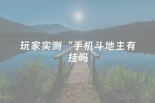 玩家实测“手机斗地主有挂吗（专用辅牌神器免安装）