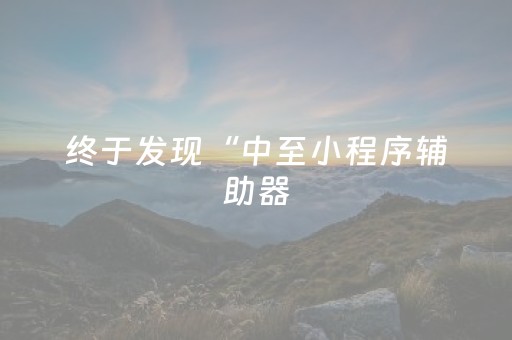 终于发现“中至小程序辅助器（助赢神器通用版）
