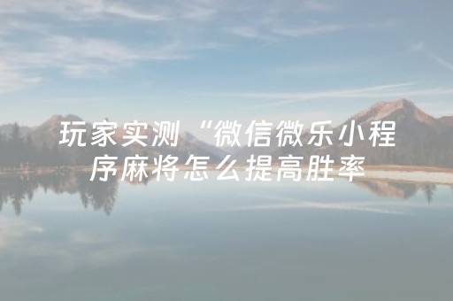 玩家实测“微信微乐小程序麻将怎么提高胜率（助赢神器通用版）