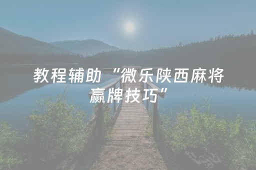 教程辅助“微乐陕西麻将赢牌技巧”（详细透视教程）-哔哩哔哩
