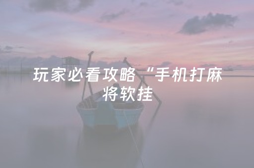 玩家必看攻略“手机打麻将软挂（专用辅牌神器免安装）