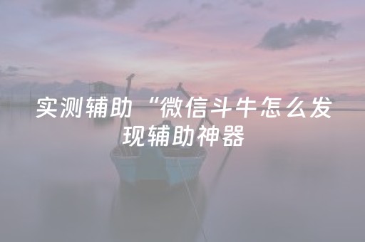实测辅助“微信斗牛怎么发现辅助神器（助赢神器通用版）