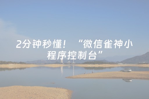 2分钟秒懂！“微信雀神小程序控制台”（详细透视教程）-哔哩哔哩