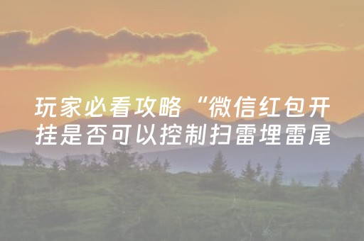 玩家必看攻略“微信红包开挂是否可以控制扫雷埋雷尾数”（详细透视教程）-哔哩哔哩