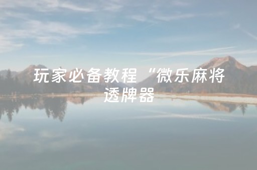 玩家必备教程“微乐麻将透牌器（专用辅牌神器免安装）