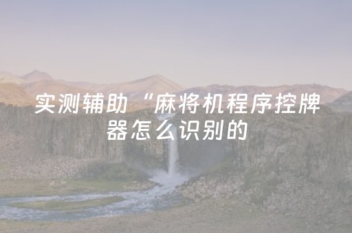 实测辅助“麻将机程序控牌器怎么识别的（助赢神器通用版）