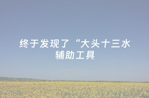 终于发现了“大头十三水辅助工具（助赢神器通用版）