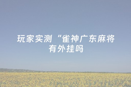 玩家实测“雀神广东麻将有外挂吗（专用辅牌神器免安装）