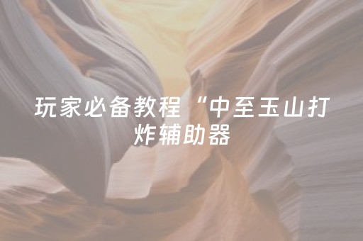 玩家必备教程“中至玉山打炸辅助器（助赢神器通用版）