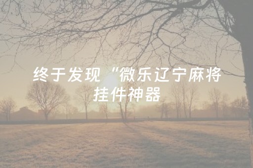终于发现“微乐辽宁麻将挂件神器（助赢神器通用版）