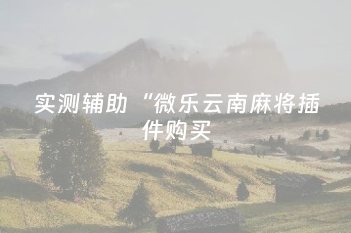 实测辅助“微乐云南麻将插件购买（助赢神器通用版）