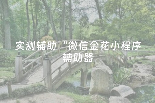 实测辅助“微信金花小程序辅助器（专用辅牌神器免安装）