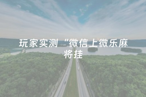 玩家实测“微信上微乐麻将挂（专用辅牌神器免安装）