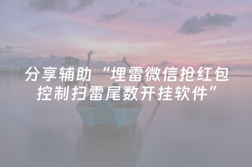 分享辅助“埋雷微信抢红包控制扫雷尾数开挂软件”（详细透视教程）-哔哩哔哩
