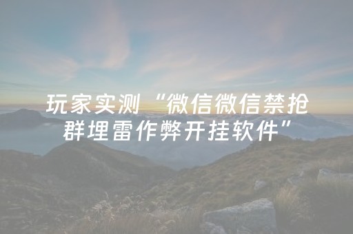 玩家实测“微信微信禁抢群埋雷作弊开挂软件”（详细透视教程）-哔哩哔哩