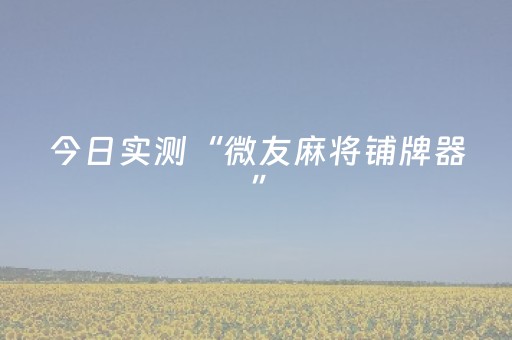 今日实测“微友麻将铺牌器”（详细透视教程）-哔哩哔哩