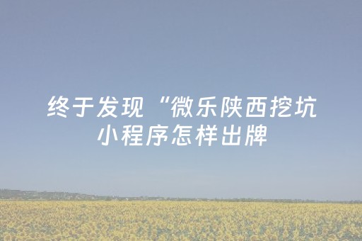终于发现“微乐陕西挖坑小程序怎样出牌（助赢神器通用版）