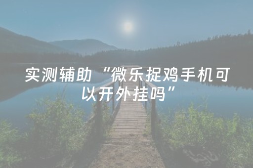 实测辅助“微乐捉鸡手机可以开外挂吗”（详细透视教程）-哔哩哔哩
