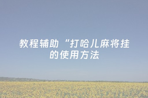 教程辅助“打哈儿麻将挂的使用方法（专用辅牌神器免安装）