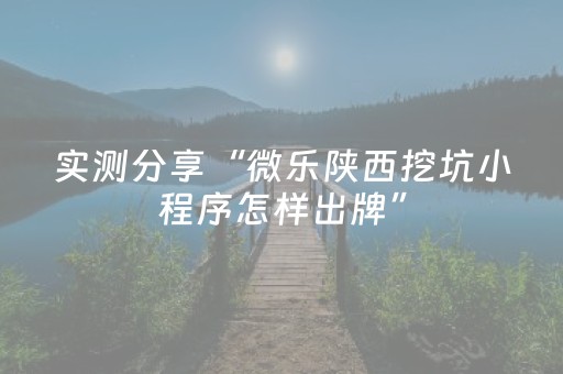 实测分享“微乐陕西挖坑小程序怎样出牌”（详细辅助教程）-哔哩哔哩