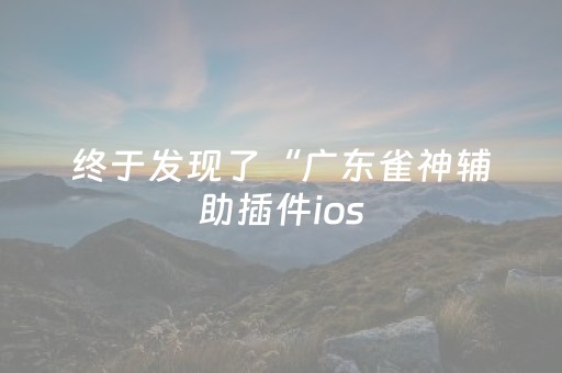 终于发现了“广东雀神辅助插件ios（助赢神器通用版）
