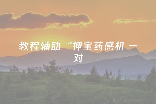 教程辅助“押宝药感机 一对（助赢神器通用版）