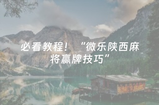 必看教程！“微乐陕西麻将赢牌技巧”（详细开挂教程）-哔哩哔哩