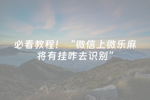 必看教程！“微信上微乐麻将有挂咋去识别”（详细透视教程）-哔哩哔哩