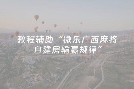 教程辅助“微乐广西麻将自建房输赢规律”（详细透视教程）-哔哩哔哩