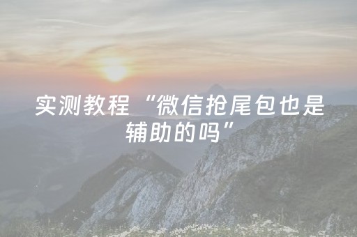 实测教程“微信抢尾包也是辅助的吗”（详细透视教程）-哔哩哔哩