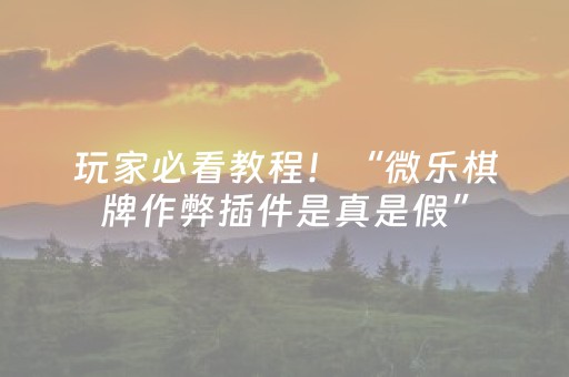 玩家必看教程！“微乐棋牌作弊插件是真是假”（详细开挂教程）-哔哩哔哩