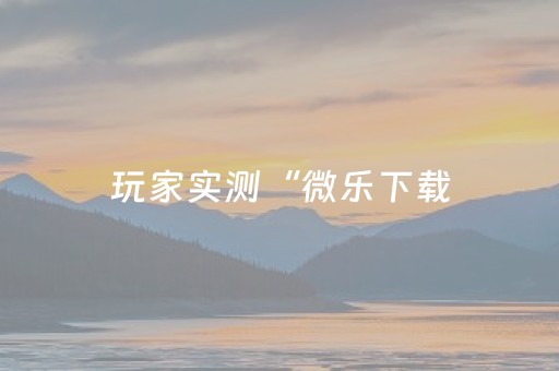 玩家实测“微乐下载（助赢神器通用版）