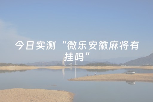 今日实测“微乐安徽麻将有挂吗”（详细开挂教程）-哔哩哔哩