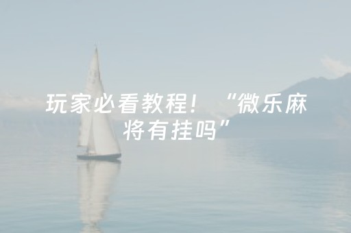 玩家必看教程！“微乐麻将有挂吗”（详细透视教程）-哔哩哔哩
