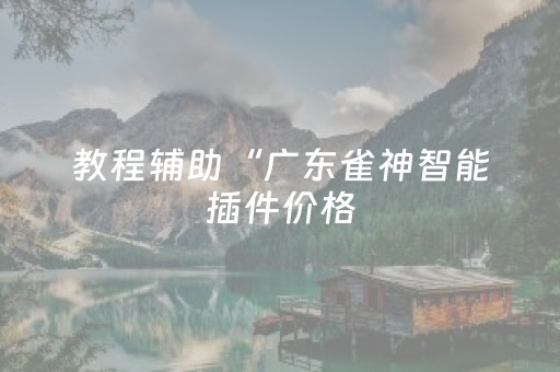 教程辅助“广东雀神智能插件价格（专用辅牌神器免安装）